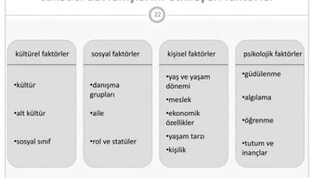 Tüketici Davranışları ve Pazar Araştırmaları Eğitim Programları